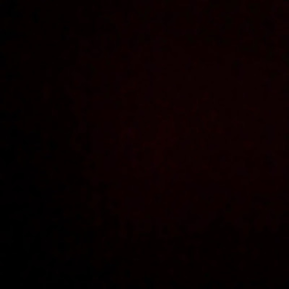 Meet your Posher, Payton - Picture 1 of 1